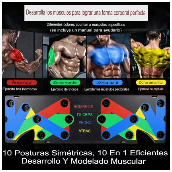 Tabla Flexiones Zimex + Banda Resistente - Imagen 2