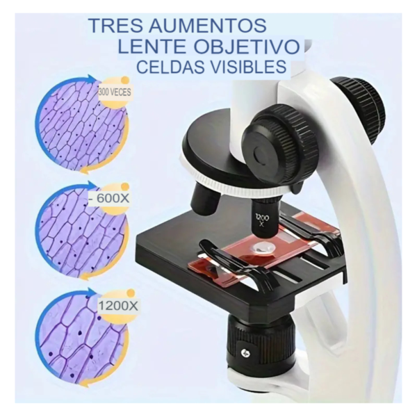 Kit Microscopio Compuesto Luz 100x-450x - Imagen 2